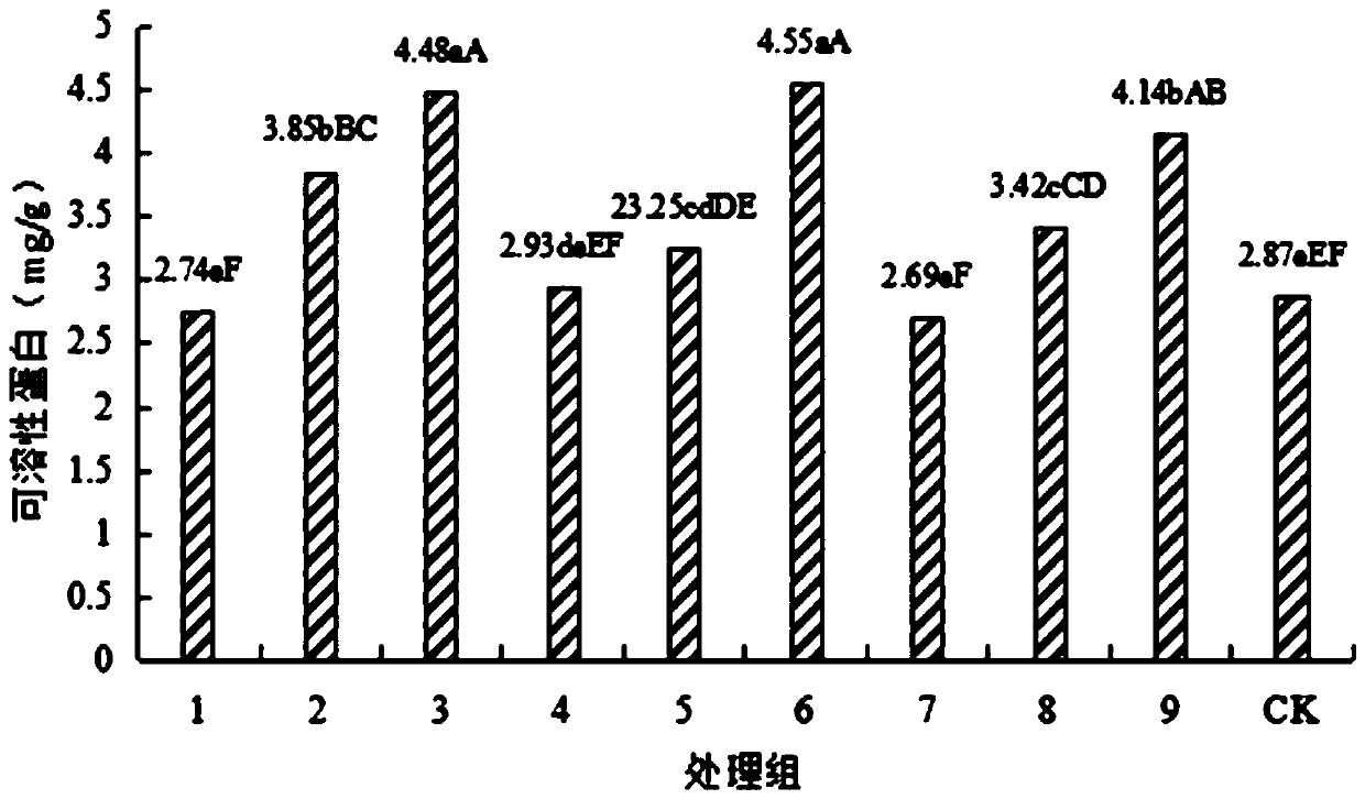 A composite initiator for improving the vigor of Angelica sinensis seeds and its application