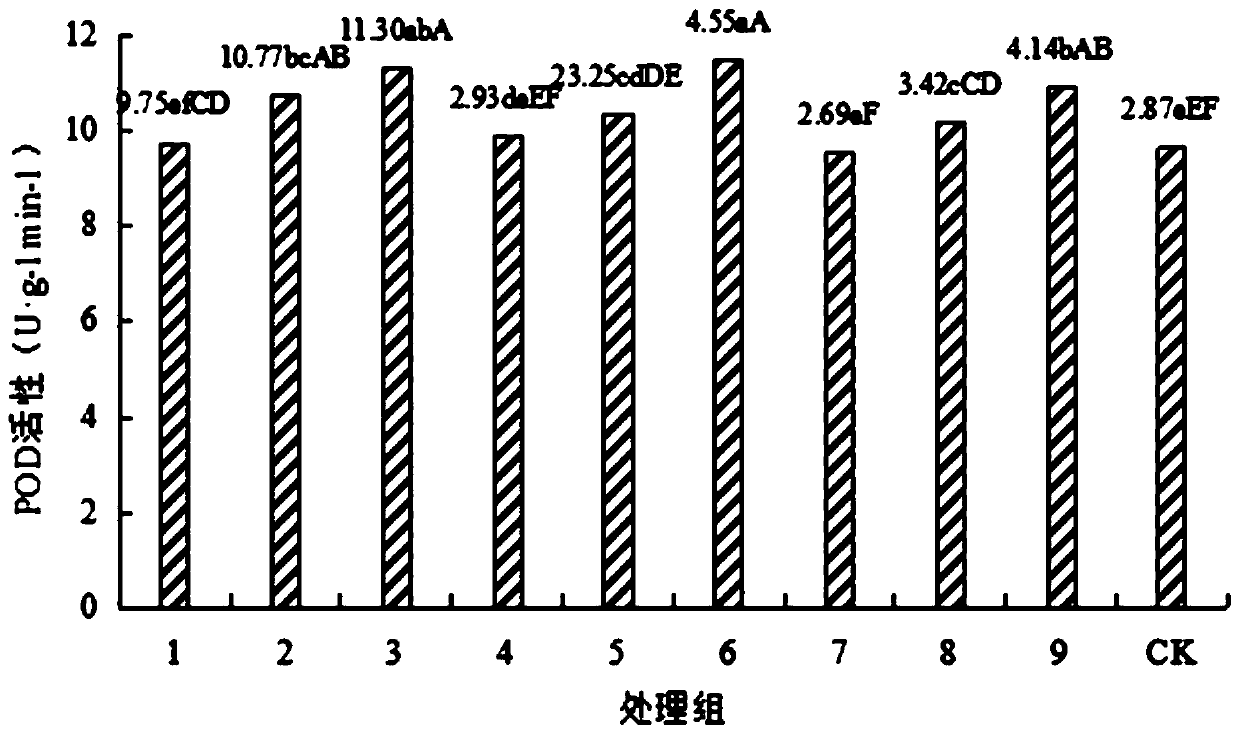 A composite initiator for improving the vigor of Angelica sinensis seeds and its application