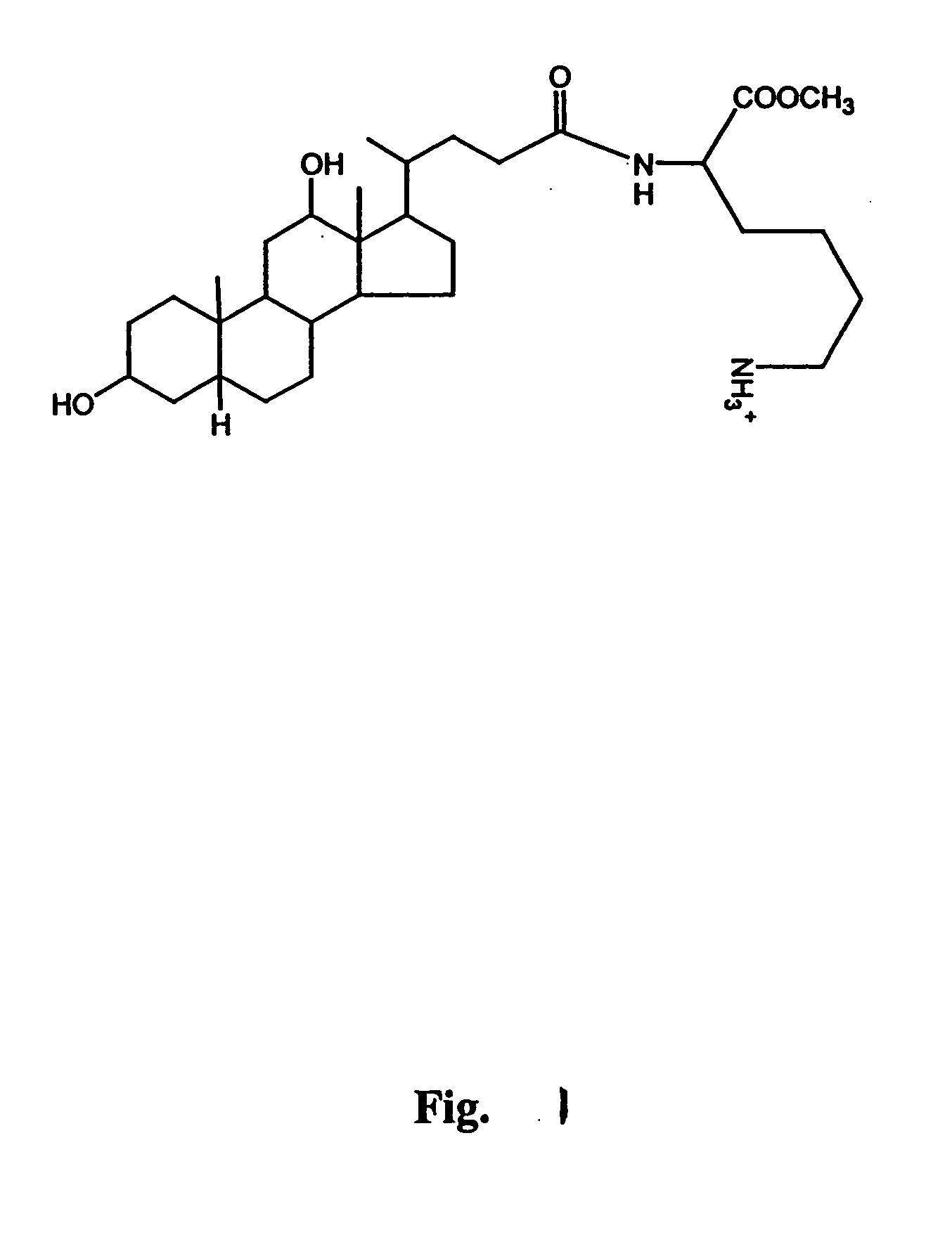 Delivery Agents for enhancing mucosal absorption of therapeutic agents