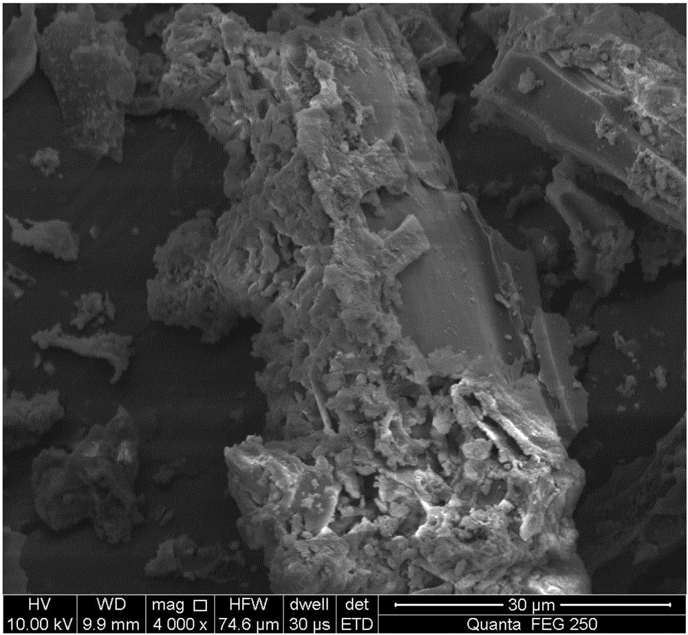 Preparation method of beta-cyclodextrin/polyglutamic acid modified biochar and application of biochar