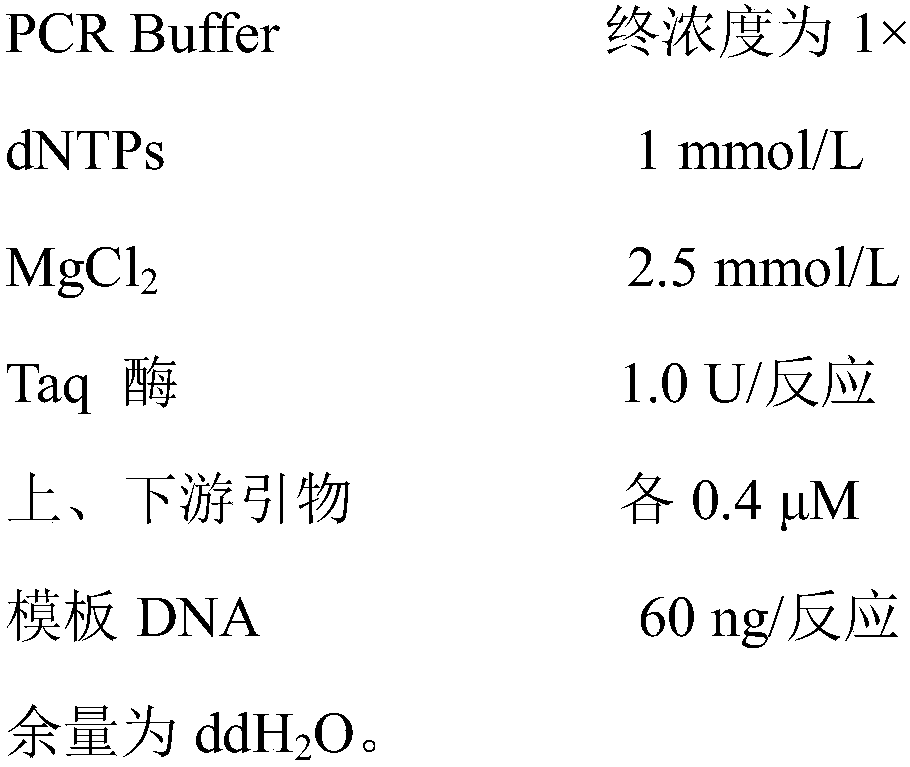 Feature sequences, tag primer and identification method of carya illinoensis variety Van Deman