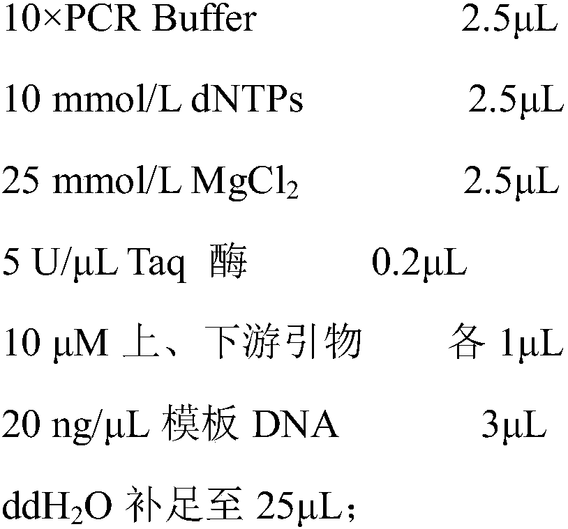 Feature sequences, tag primer and identification method of carya illinoensis variety Van Deman