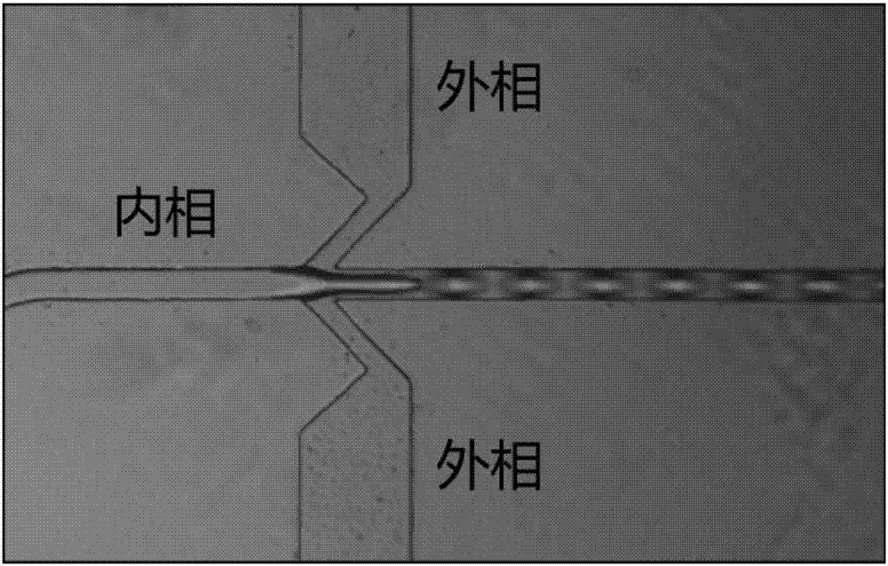 Biocompatible water-core microcapsules and preparation method thereof