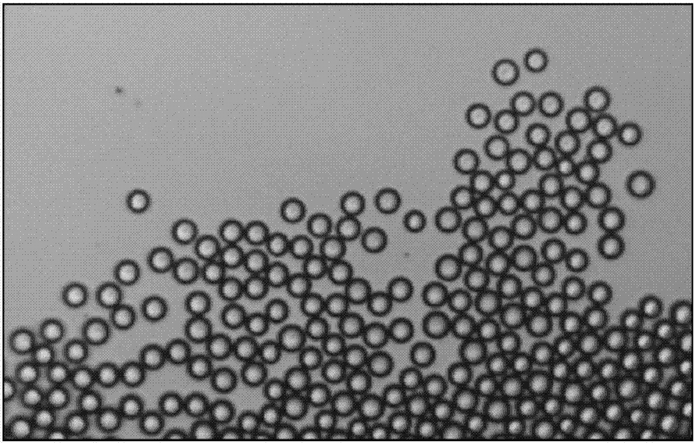 Biocompatible water-core microcapsules and preparation method thereof