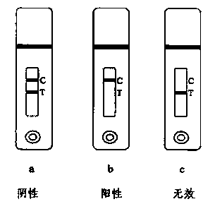 Olaquindox metabolite residue rapid detection test strip