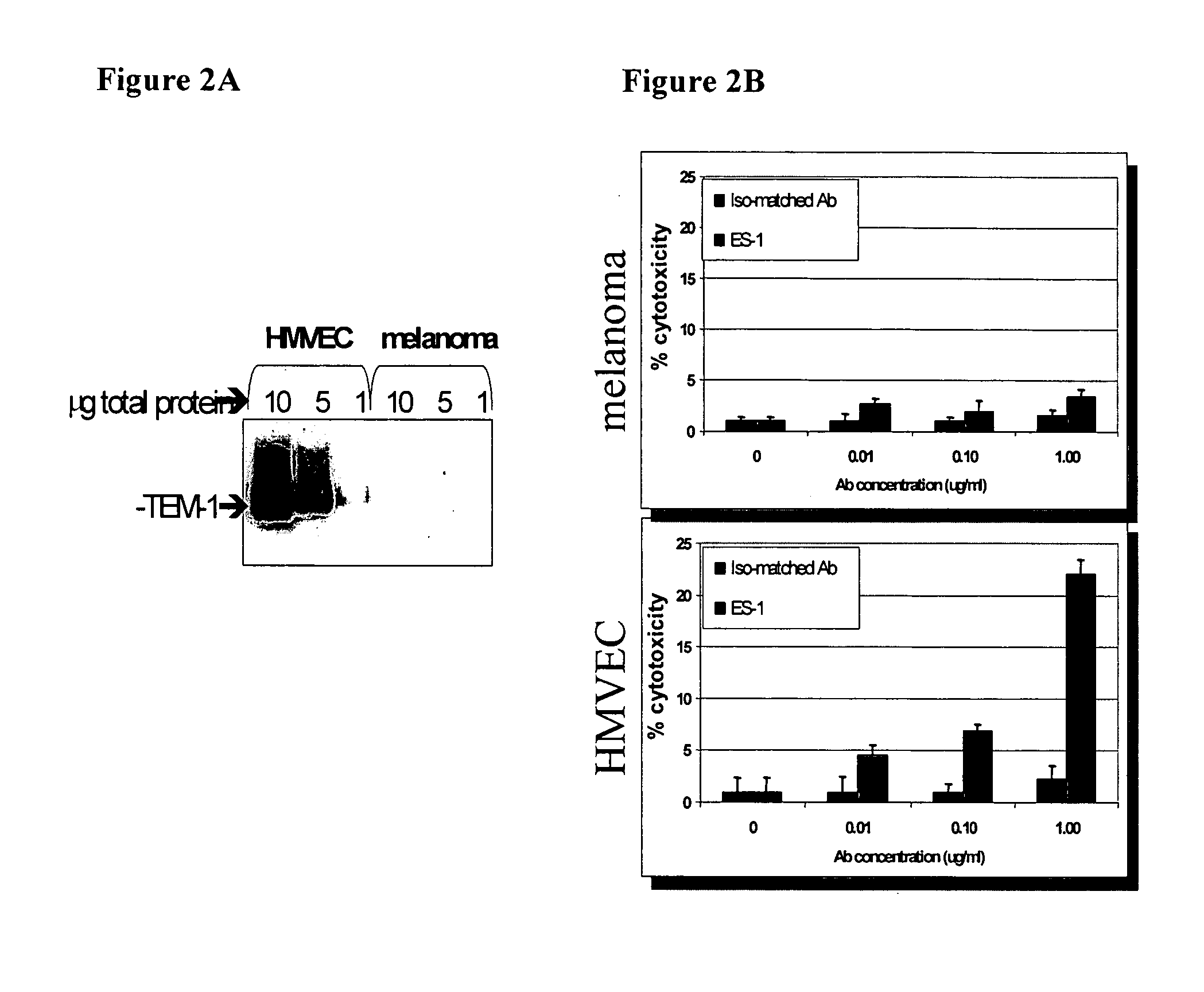 Antibodies with immune effector activity and that internalize in endosialin-positive cells