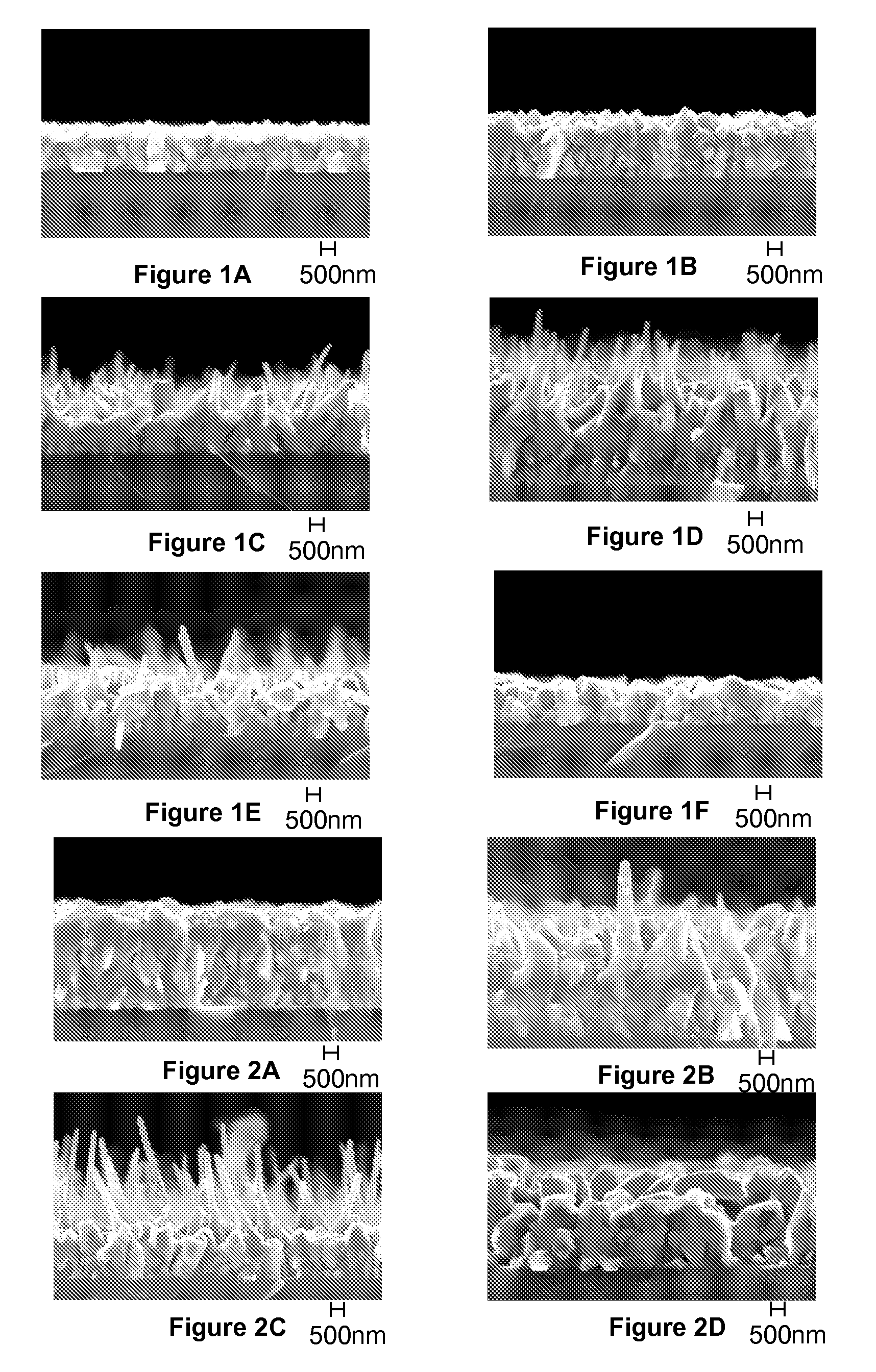 Nano-whisker growth and films