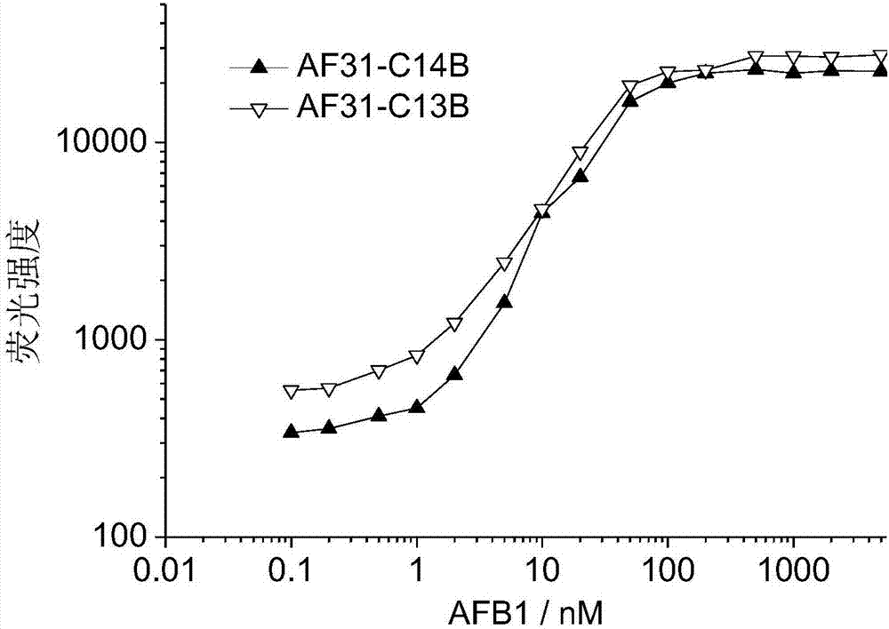 Aptamer molecular pair for detecting aflatoxin B1, kit and detection method thereof