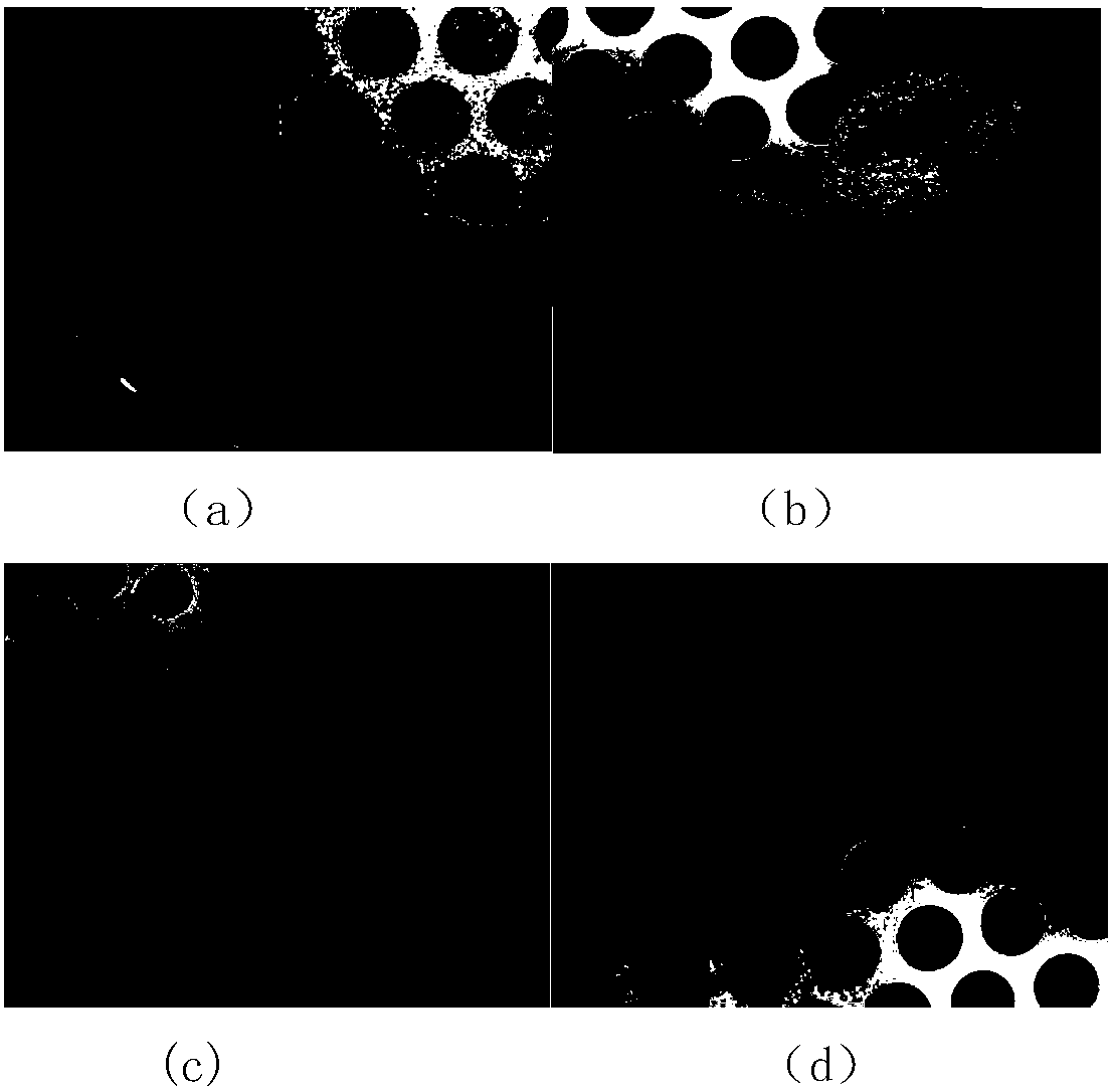 Description method of disintegration characteristics based on soft rock site state