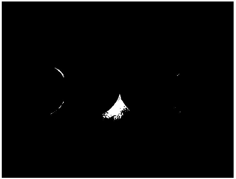 Description method of disintegration characteristics based on soft rock site state