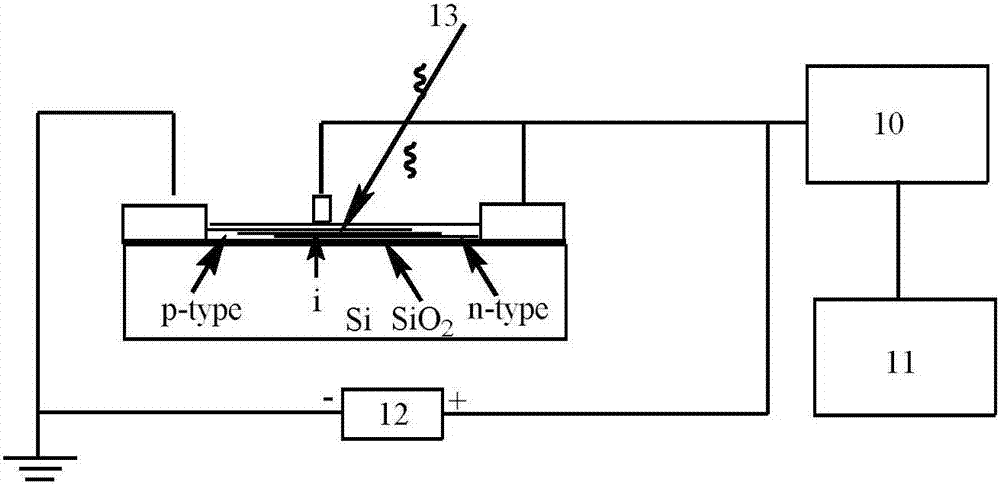 P‑i‑n heterojunction optoelectronic devices based on two-dimensional layer materials