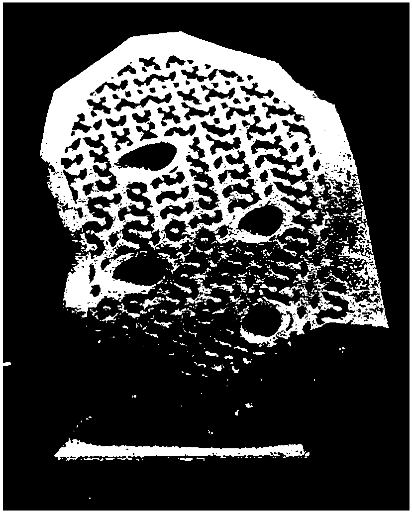 Method for preparing acetabulum supplementary material