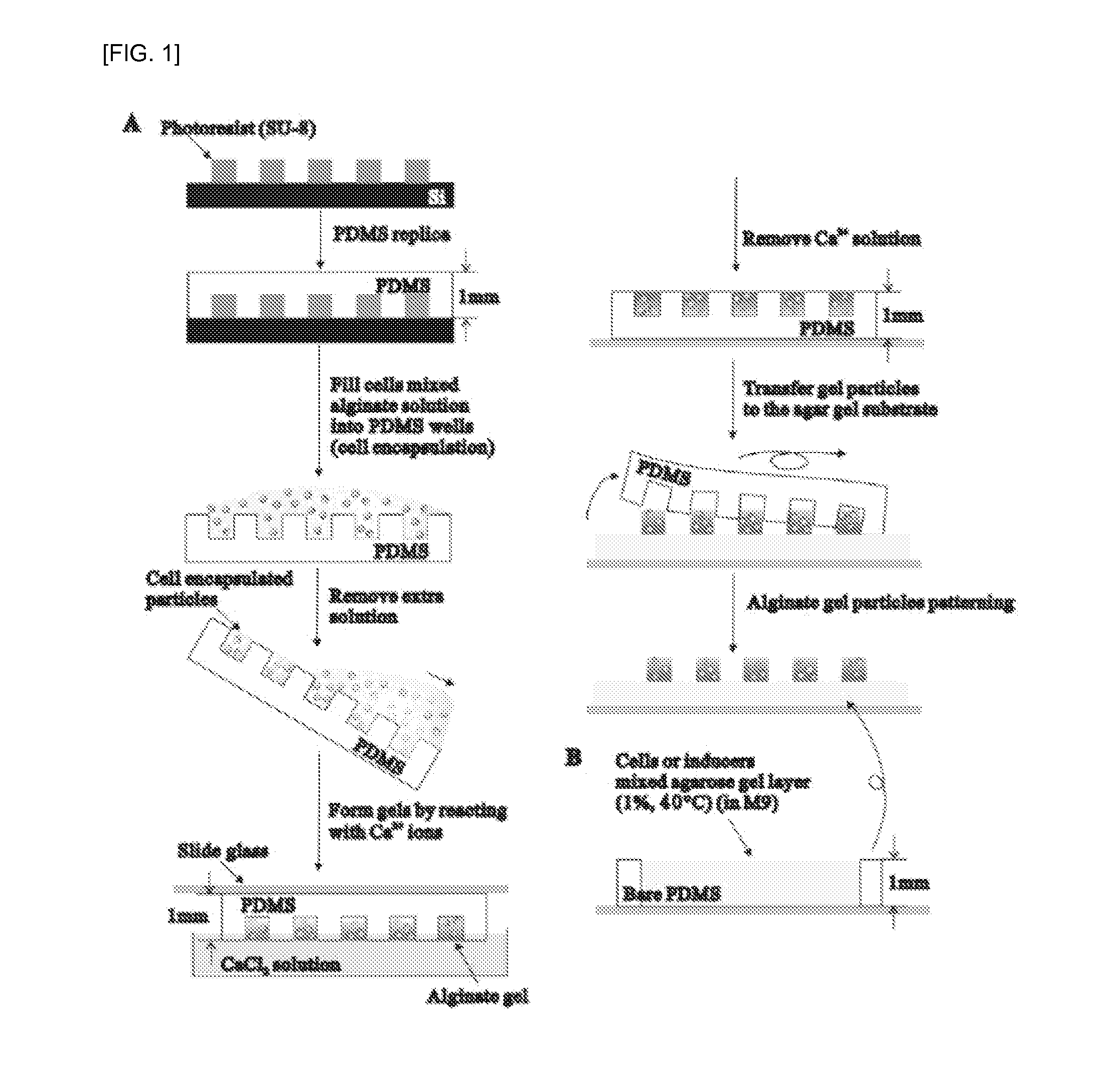 Hydrogel patterning and transferring method of cells, and cell-based biosensor using same