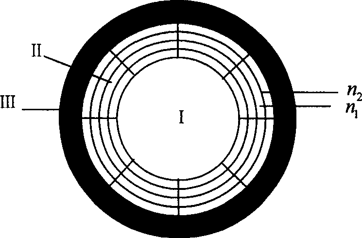 Araneose hollow optical fiber