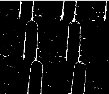 Method for manufacturing microarray through powder microinjection molding