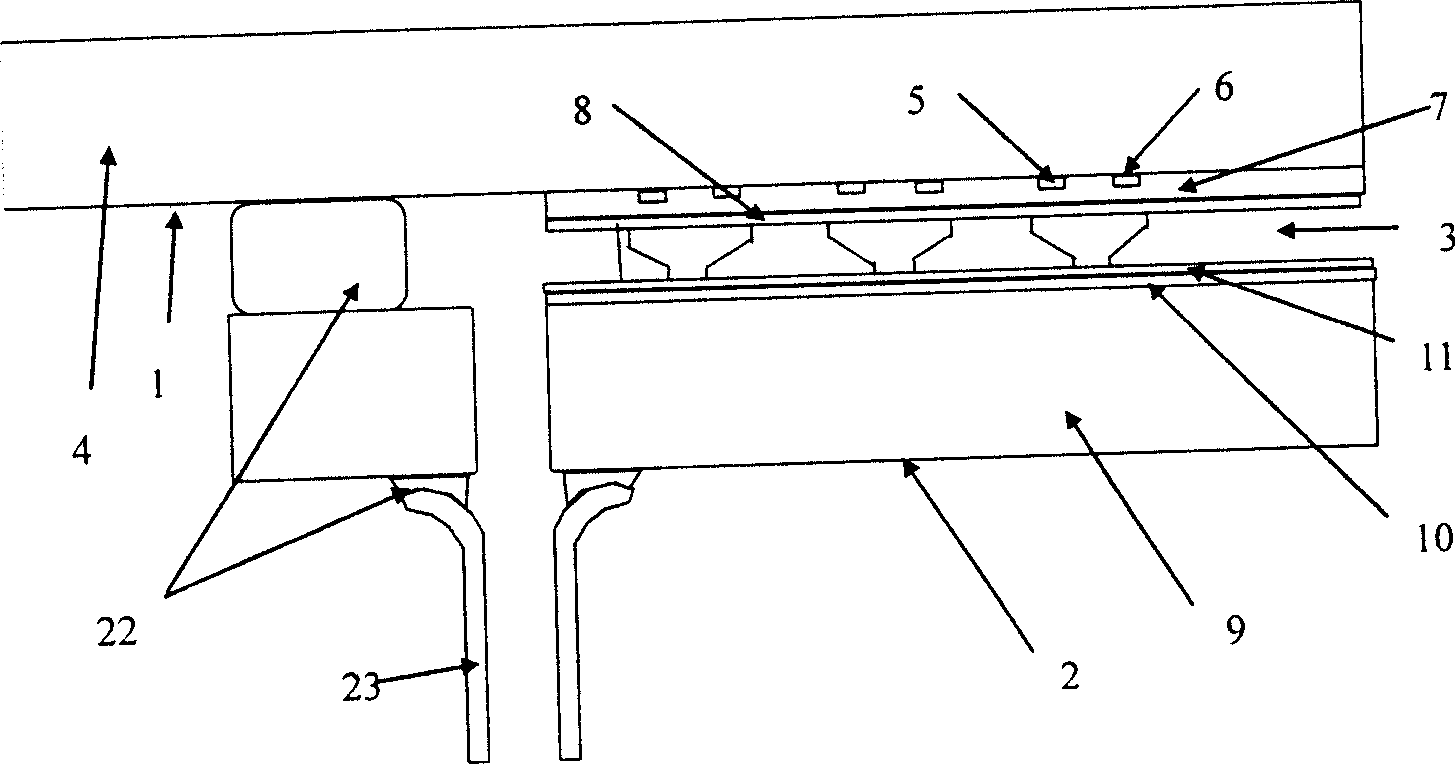 Surface discharge shadow mask type plasma display panel