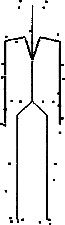 Skeleton motion extraction method by means of optical-based motion capture data