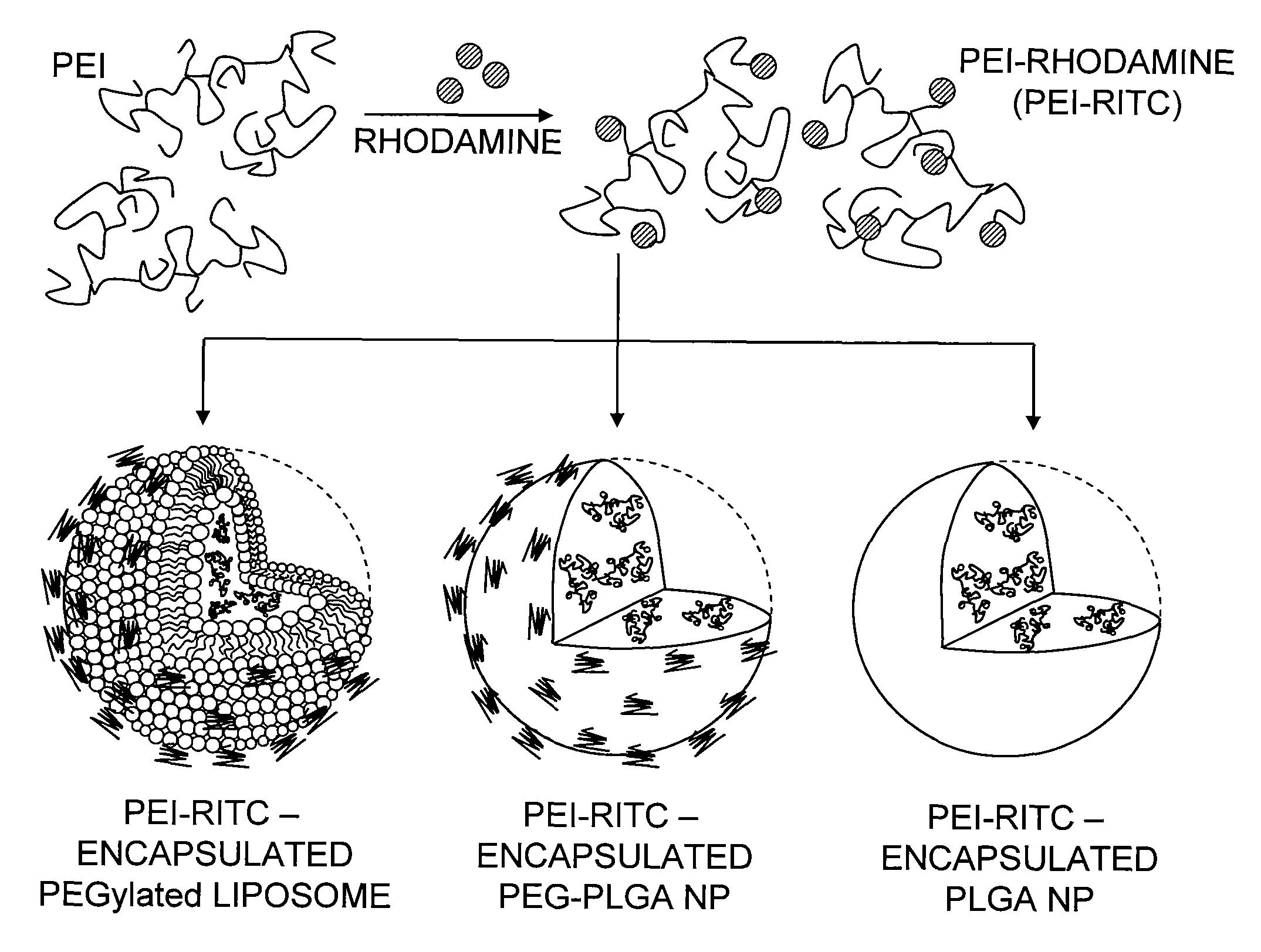 Nano-hybrid delivery system for sequential utilization of passive and active targeting