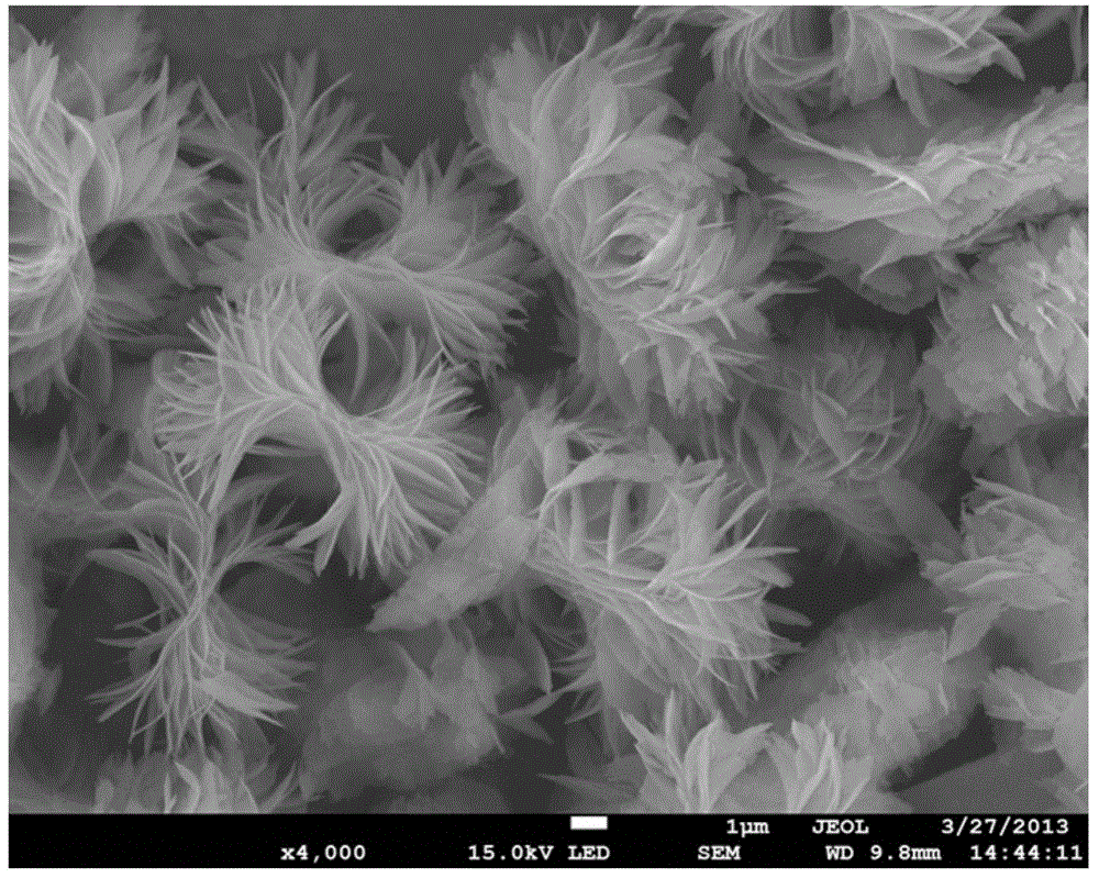 Lithium iron phosphate electrode material having three-dimensional hierarchical structure, and preparation method thereof