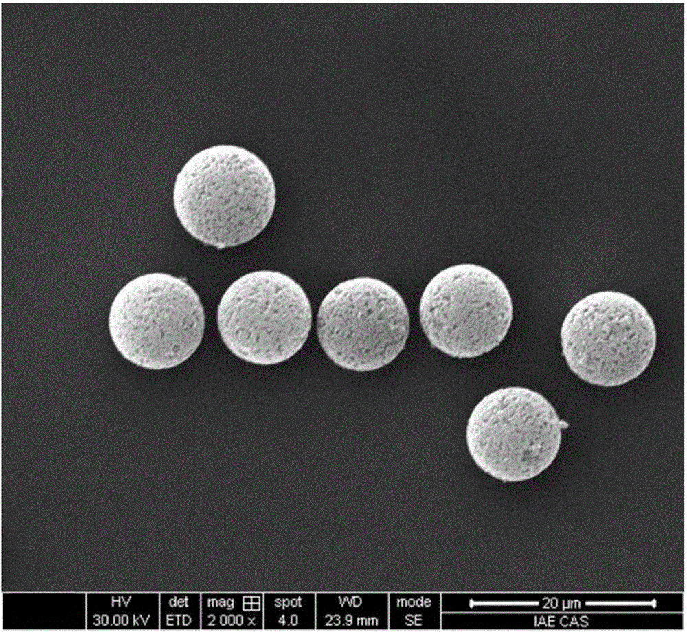 Molecular imprinting fluorescent microsphere array detection card and application thereof