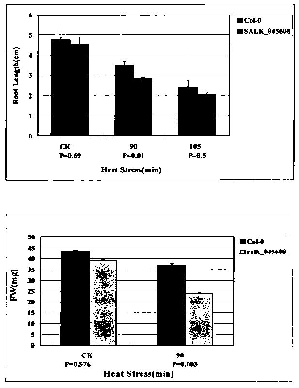 Heat shock transcription factor gene AtHSFA6a, coding protein, and applications thereof