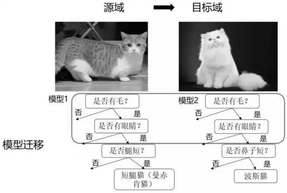 Fundus image screening method, device, electronic equipment and storage medium