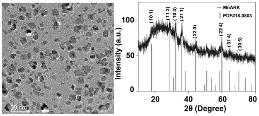 Manganese nano adjuvant as well as preparation method and application thereof