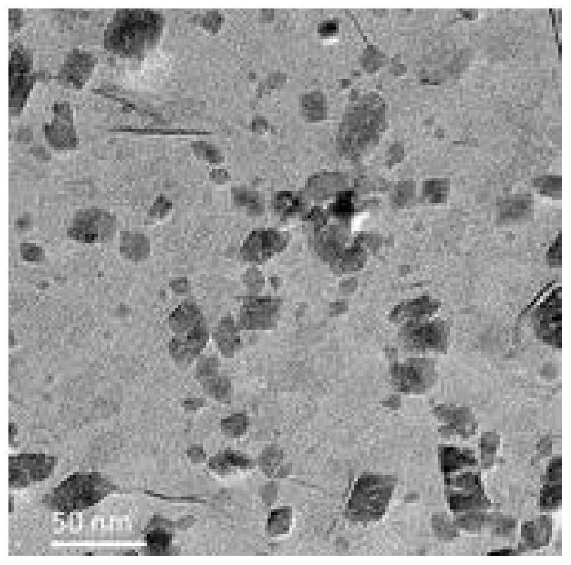 Manganese nano adjuvant as well as preparation method and application thereof