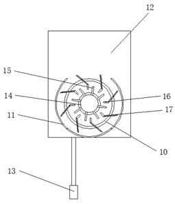 Vegetable and fish co-culture device for modern agricultural production