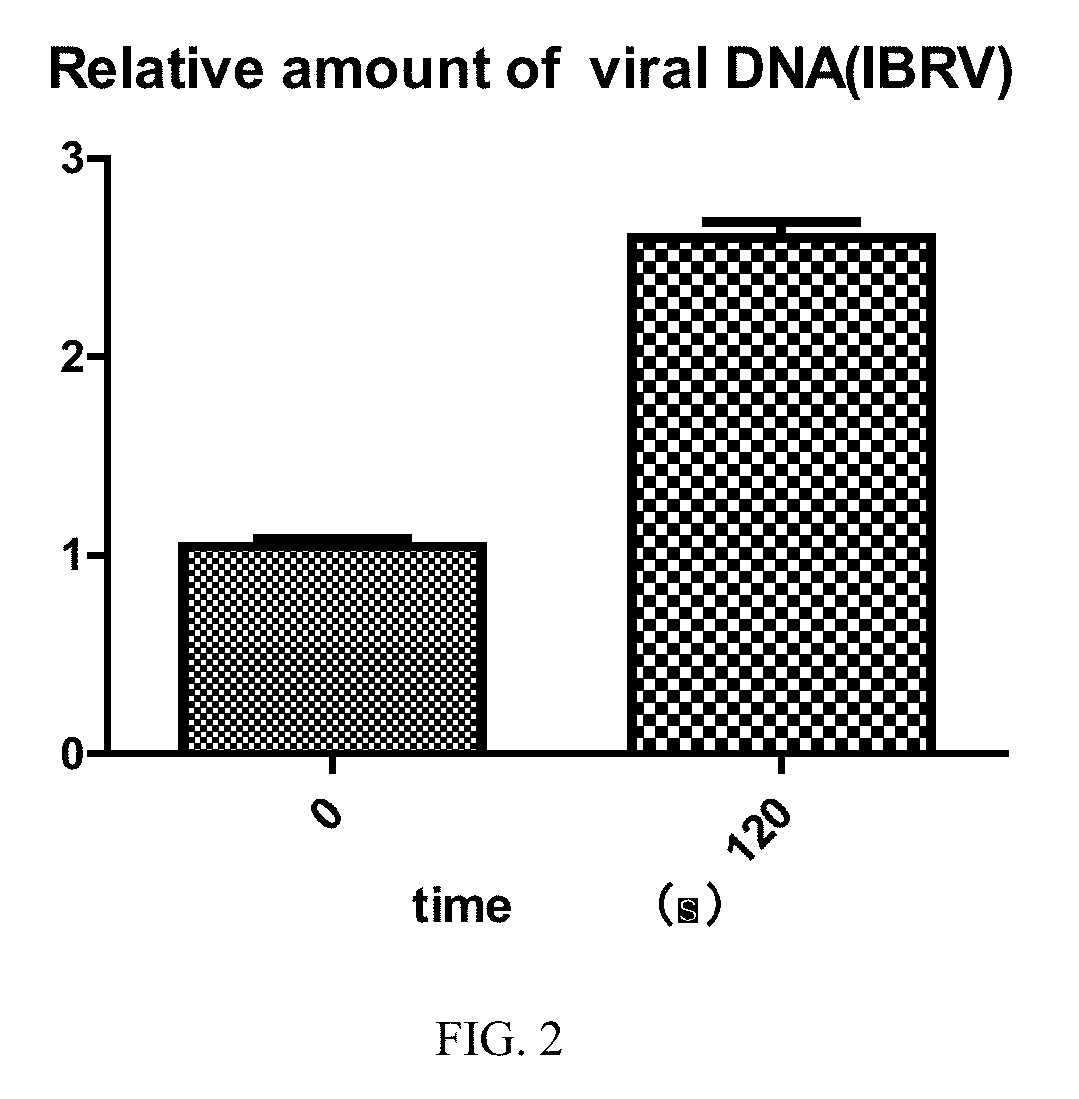 Method for promoting replication of bovine rhinotracheitis viruses using cold atmospheric plasma