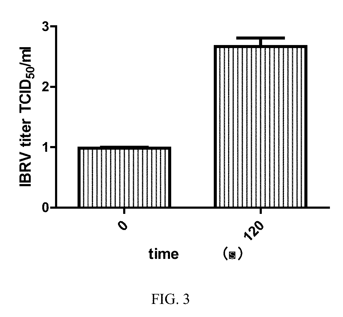 Method for promoting replication of bovine rhinotracheitis viruses using cold atmospheric plasma