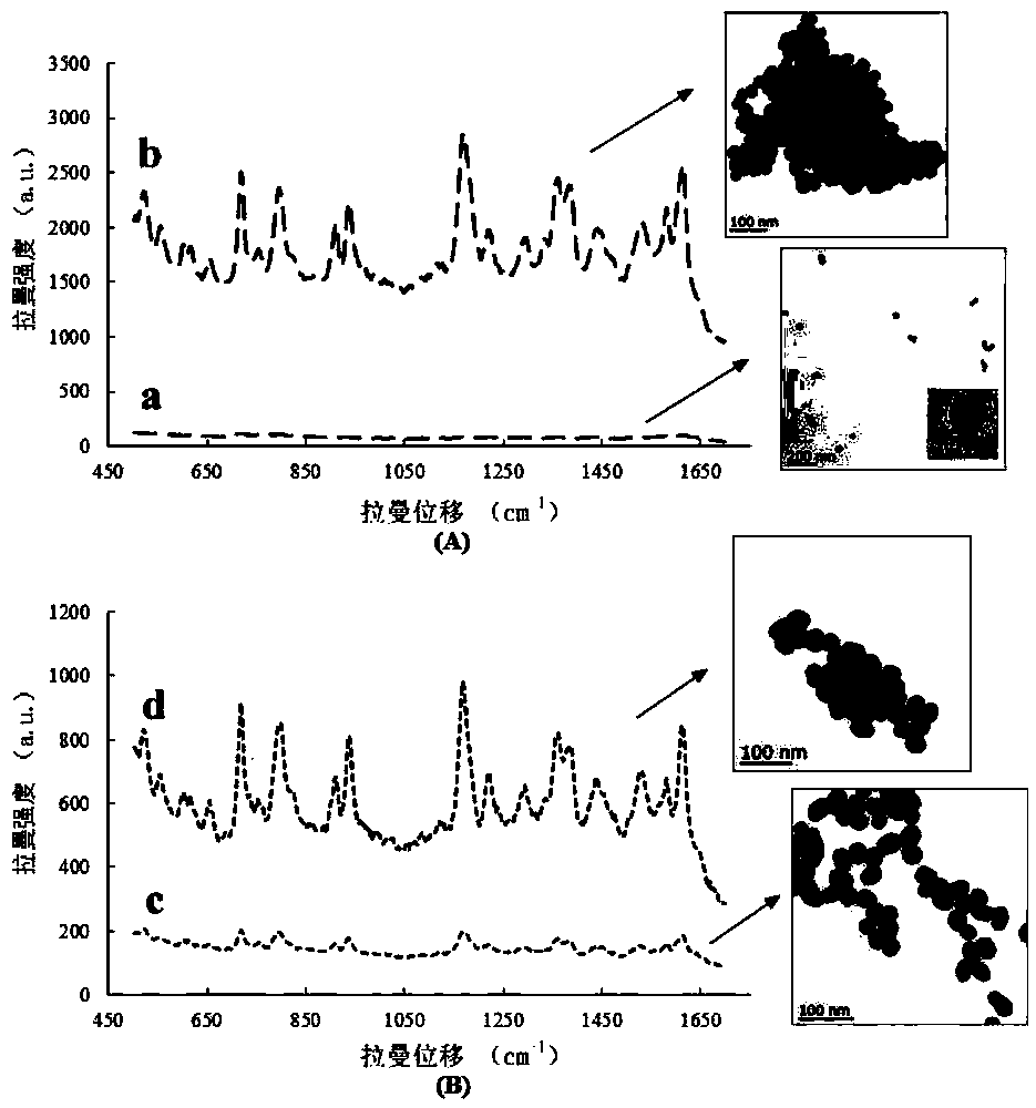 A surface-enhanced Raman spectroscopy detection method for trace pesticide residues based on nucleic acid aptamers