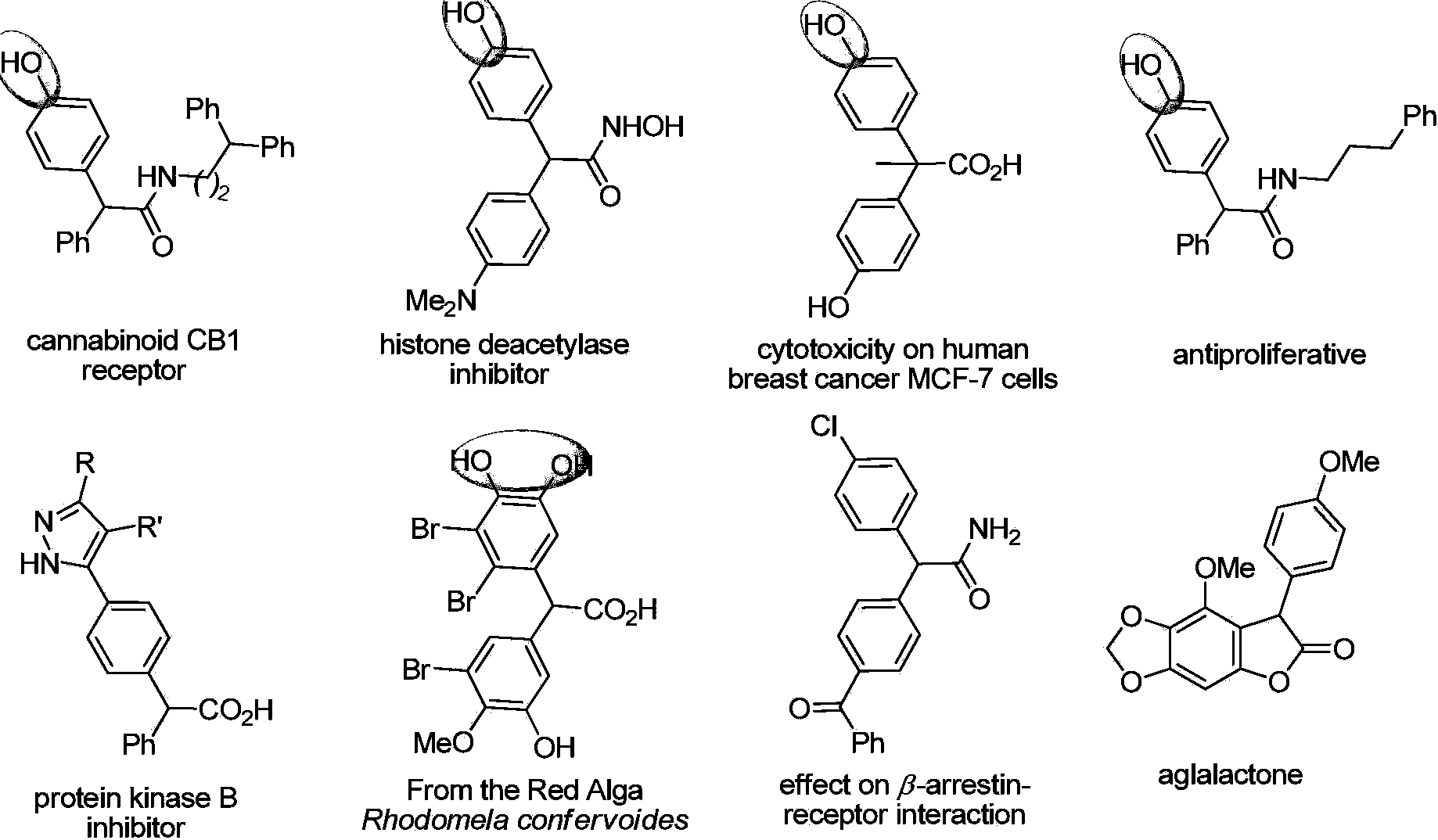 Method for performing gold-catalyzed selective C-H bond functionalization on phenol and aniline