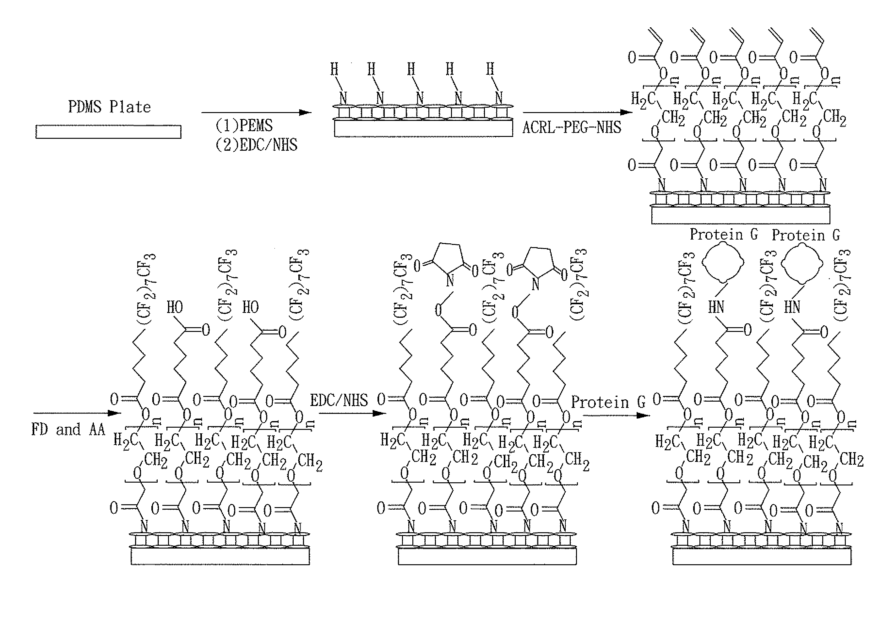 Chip for protein detection, method for manufacturing the same, and method for detecting protein by using the same