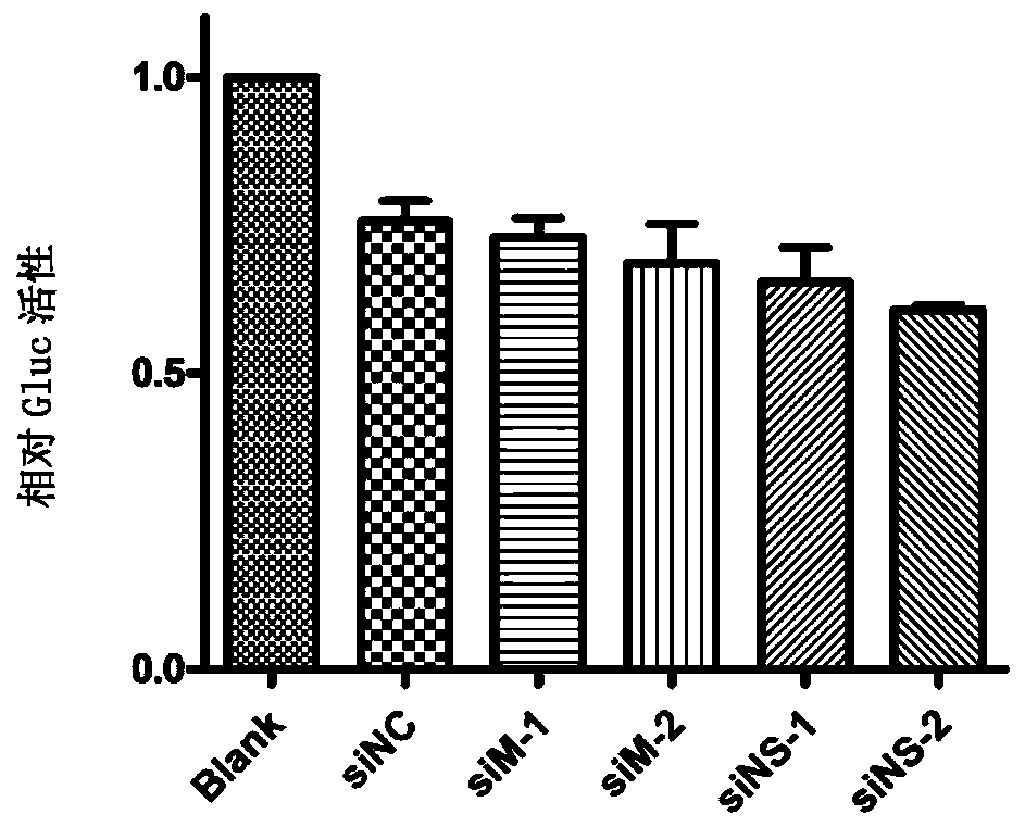 Inhalable siRNA against influenza virus infection and its application