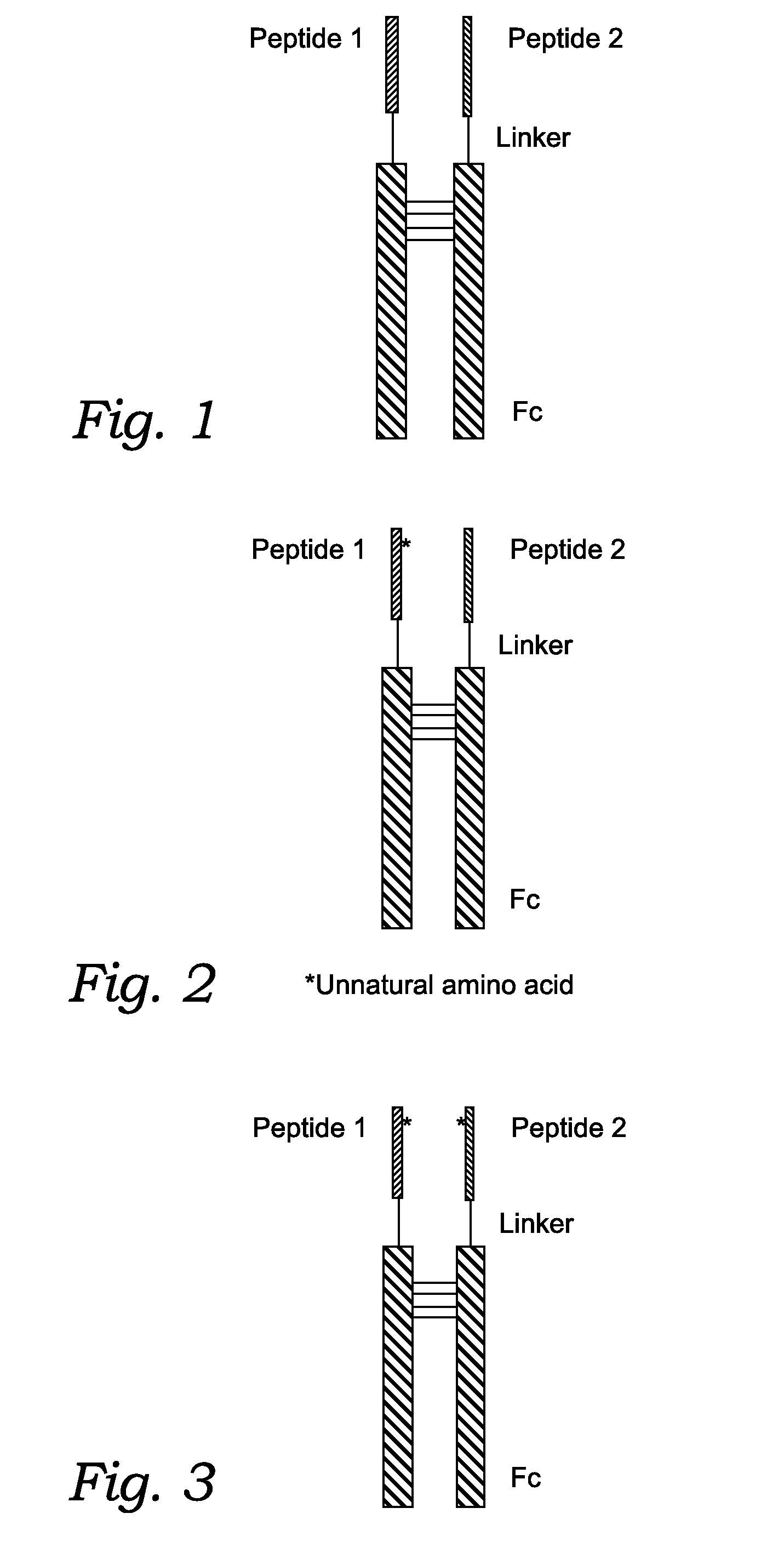 Fusion Proteins With Dual Receptor Agonist Activities