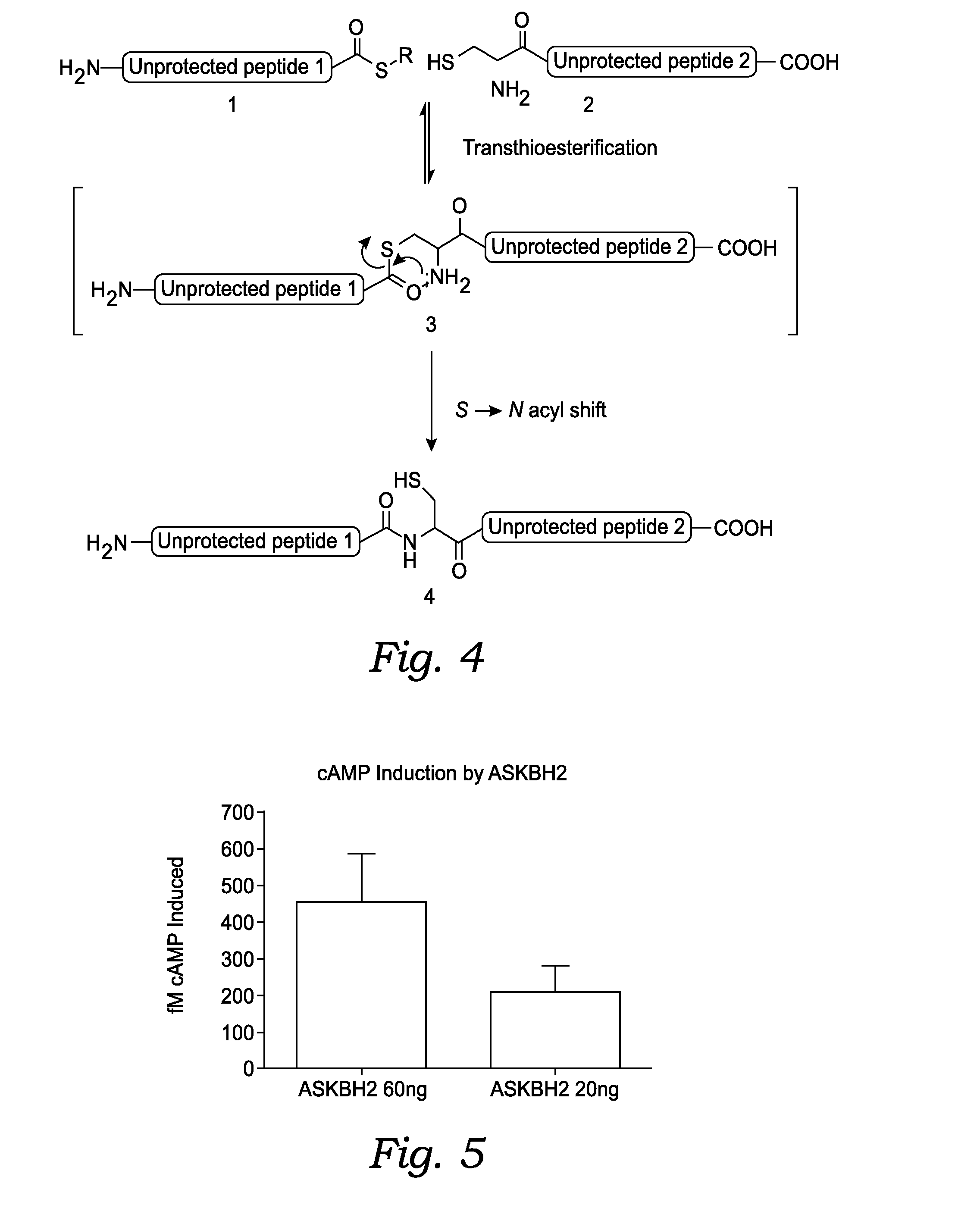 Fusion Proteins With Dual Receptor Agonist Activities