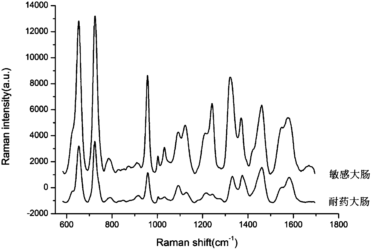 Rapid identification method for carbapenem drug susceptibility, based on Raman spectra technology