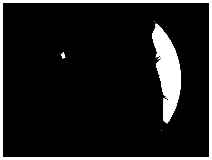 Method for automatically identifying position of guide pin in X-ray perspective image