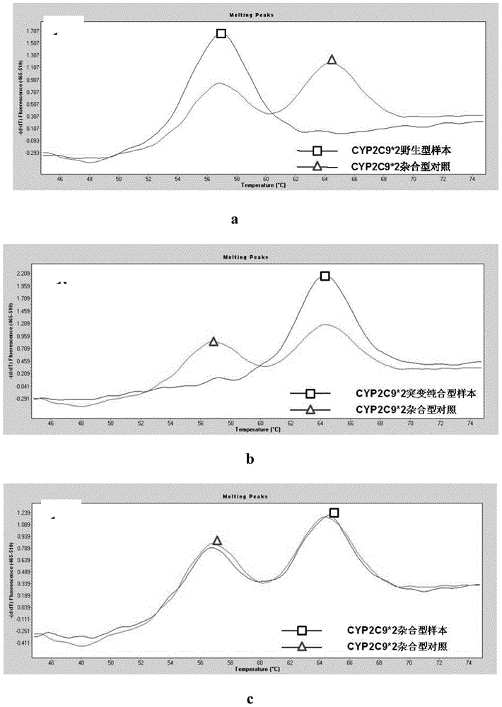 Probes and kit for detecting human CYP2C9 (Cytochrome P450 2C9) and VKORC1 (Vitamin K epoxide reductase complex subunit 1) gene polymorphism