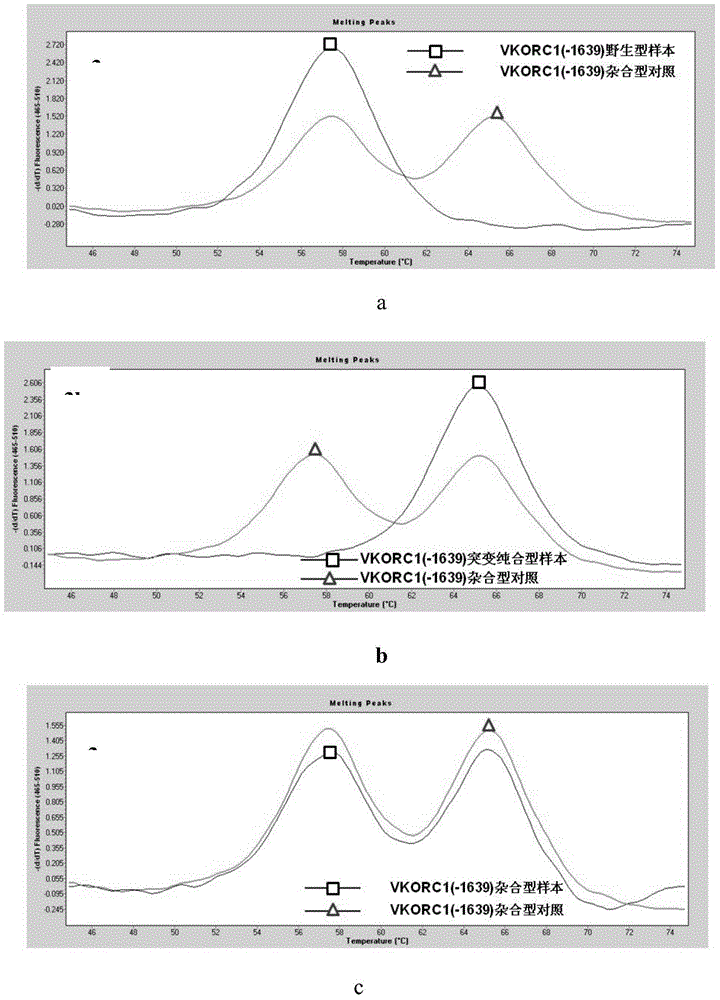 Probes and kit for detecting human CYP2C9 (Cytochrome P450 2C9) and VKORC1 (Vitamin K epoxide reductase complex subunit 1) gene polymorphism