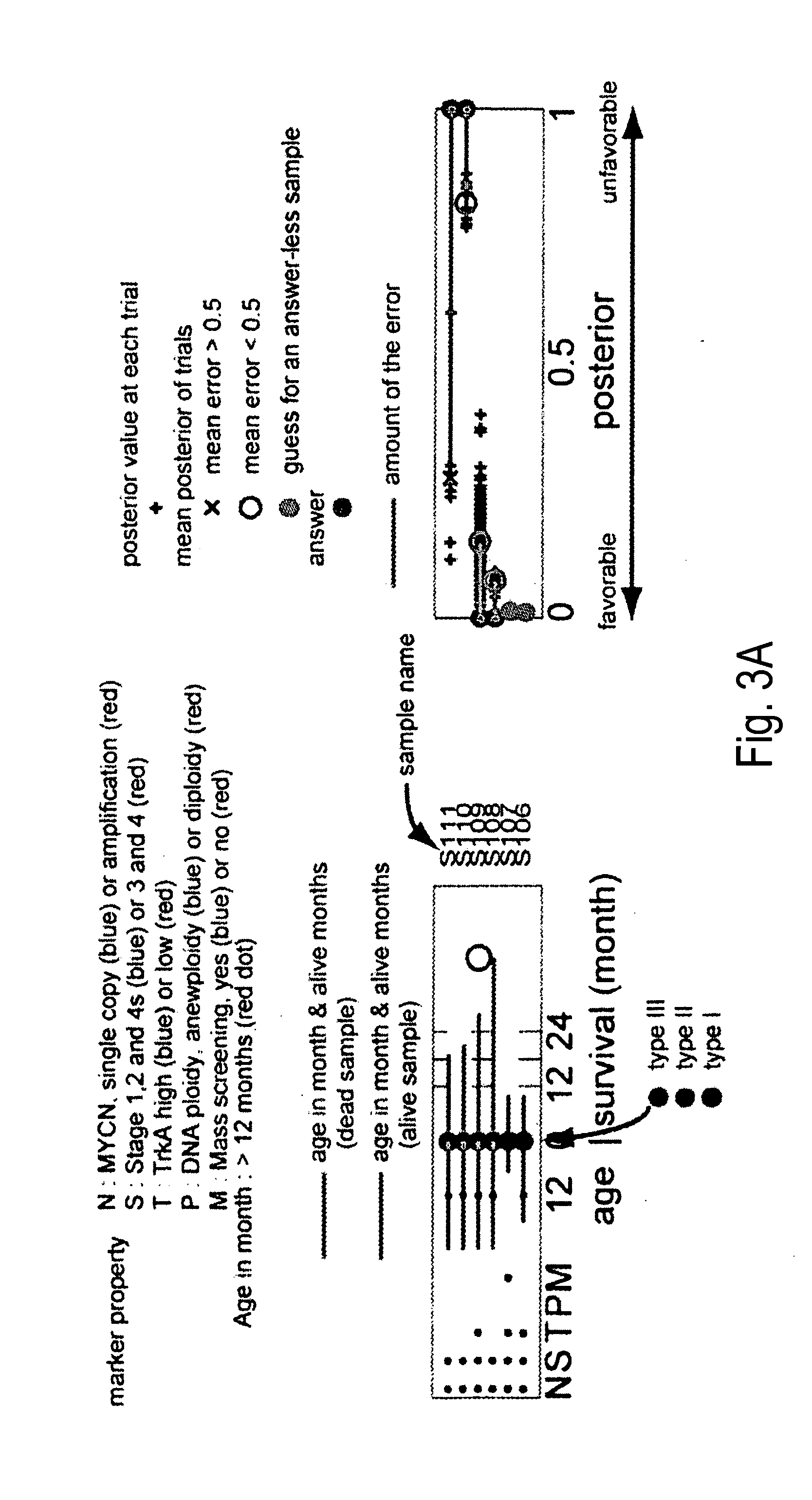 Microarray for predicting the prognosis of neuroblastoma and method for predicting the prognosis of neuroblastoma