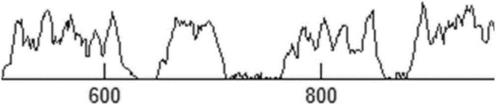 Calligraphy character smallest bounding box extraction method based on wavelet smoothing