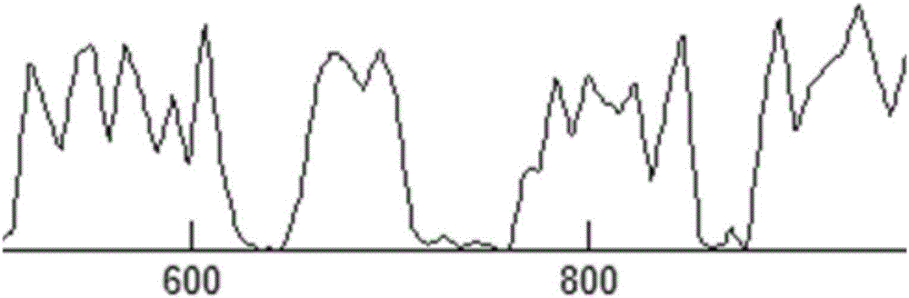 Calligraphy character smallest bounding box extraction method based on wavelet smoothing