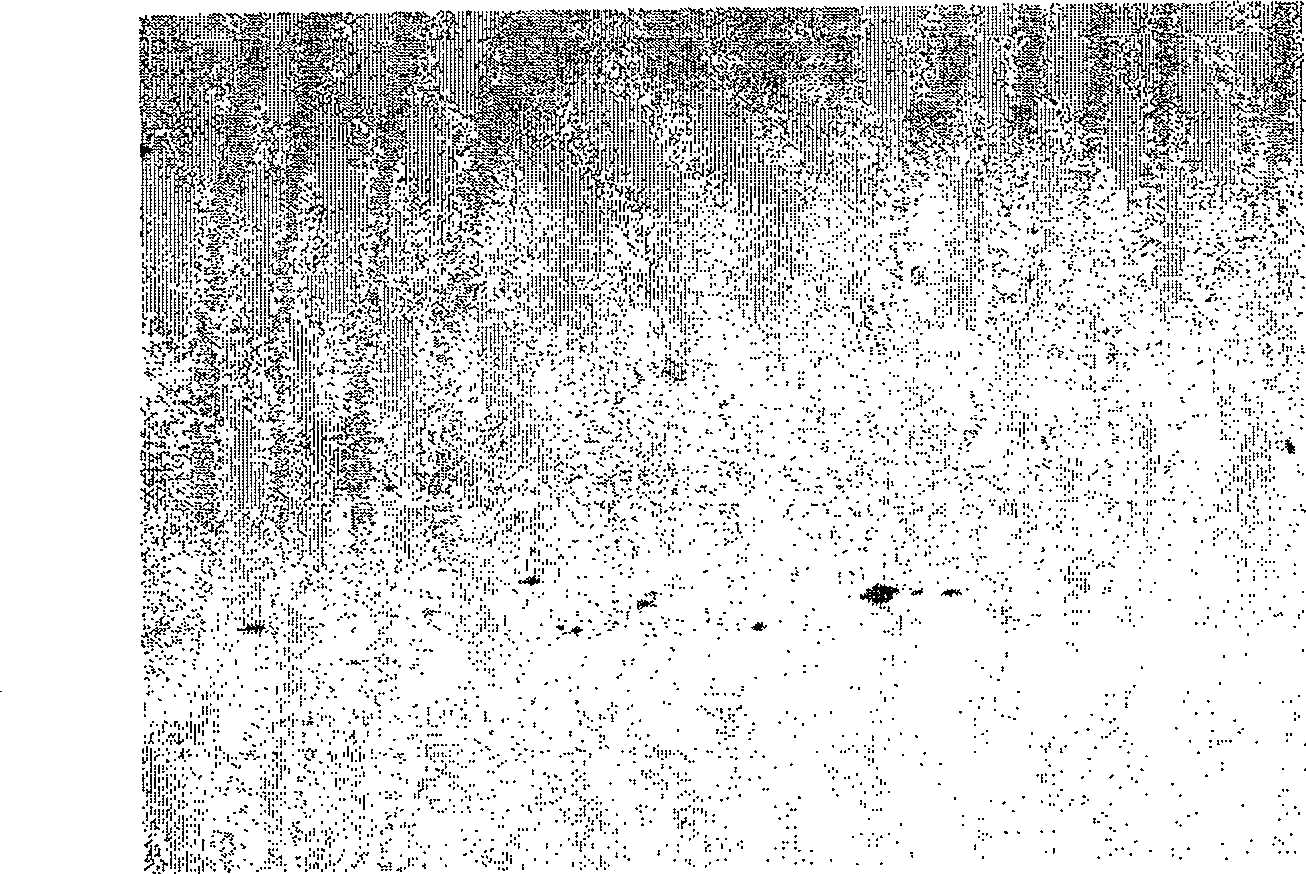 Easy-cutting untempered steel and method for manufacture thereof