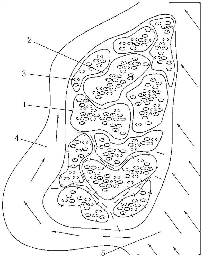 Aggregated mangrove forest artificial planting system and method thereof