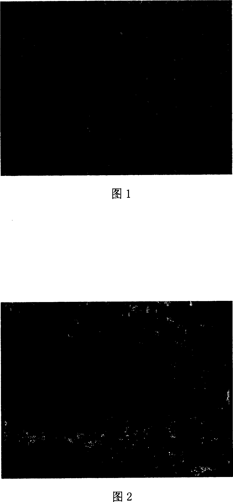 Highly ductile, abrasive-wearable self-lubricant polyformaldehyde material and its preparation method