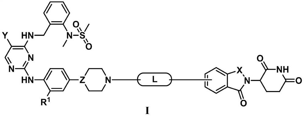 Compound for targeted degradation of focal adhesion kinase and application of compound