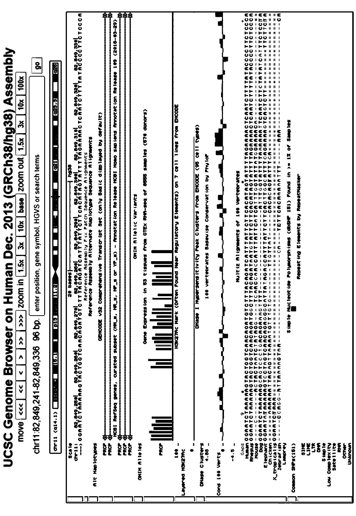 Primer combination for detecting genes related to skin moisturizing abilities and application of primer combination