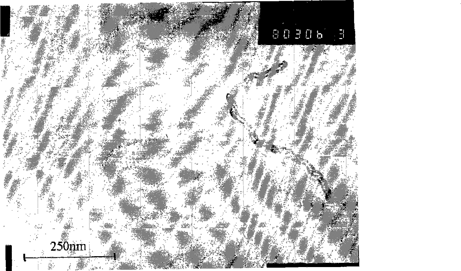 Method for preparing natural rubber-carbon nano tube composite material by using static electricity self-assembly